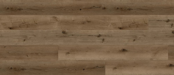 Bear Oak