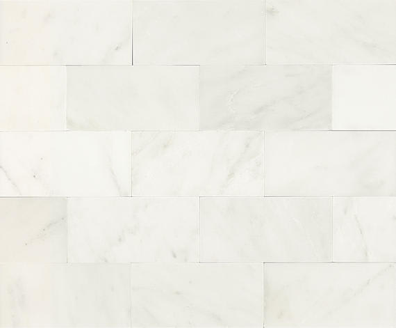 Marble First Snow Elegance Rectangle 3X6 Polished