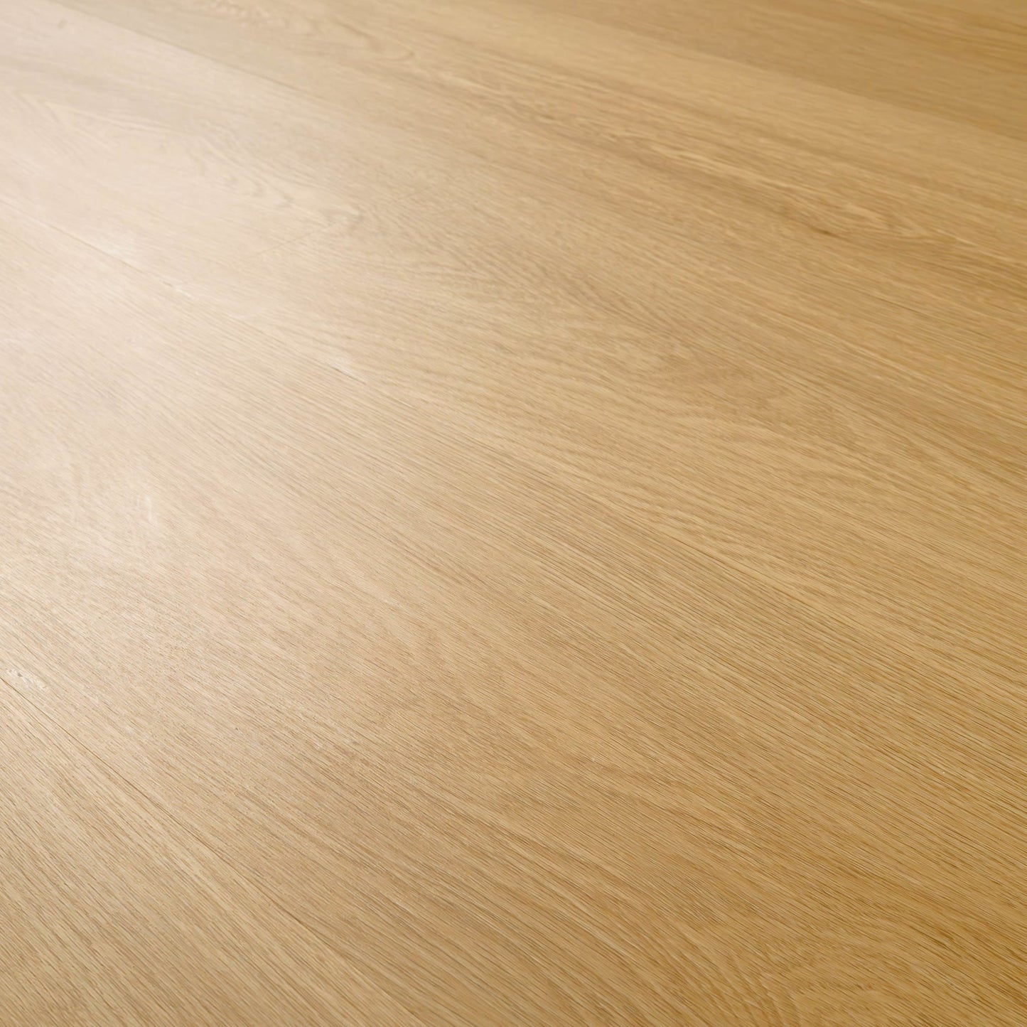 NOVE PLUS BAYSIDE BUFF 9X48