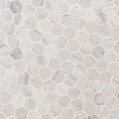 Angora Polished 2" Hexagon Mosaic Tile