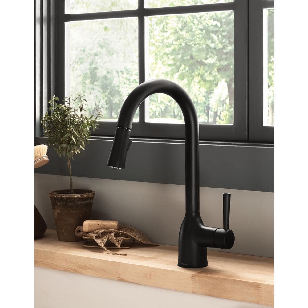 Adler Single-Handle Pull-Down Sprayer Kitchen Faucet with Reflex and Power Clean in Matte Black