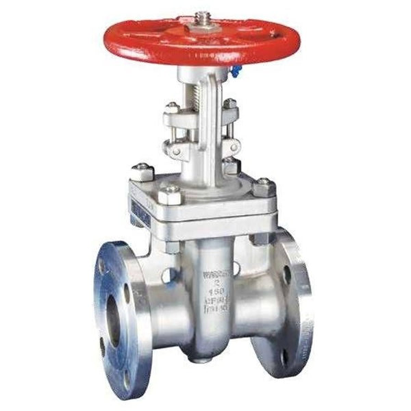 1156 OS&Y Gate Valve, 6 in, Flange, Stainless Steel
