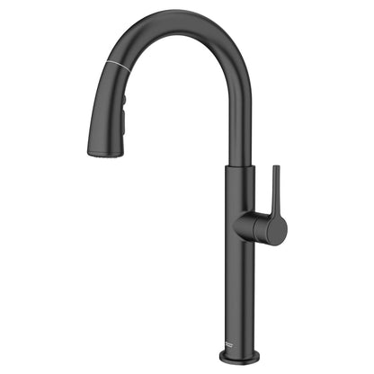 Studio S 1.8 GPM Single Hole Pull Down Kitchen Faucet with Re-Trax Technology