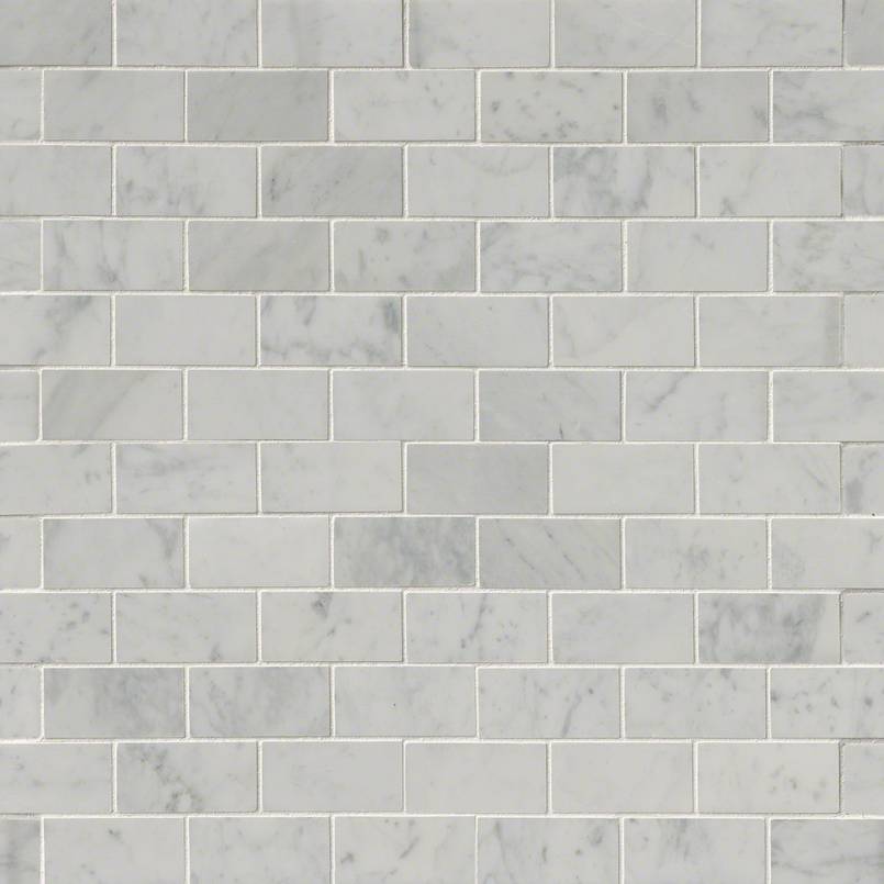 Carrara White Tile 2x4