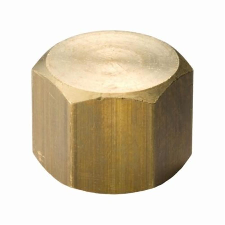 Cap, 1/4 in, FNPT, Lead Free Brass, Rough Brass, Domestic