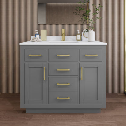 Beckett Single Bathroom Vanity with Toe Kick - 42W x 35H x 22D