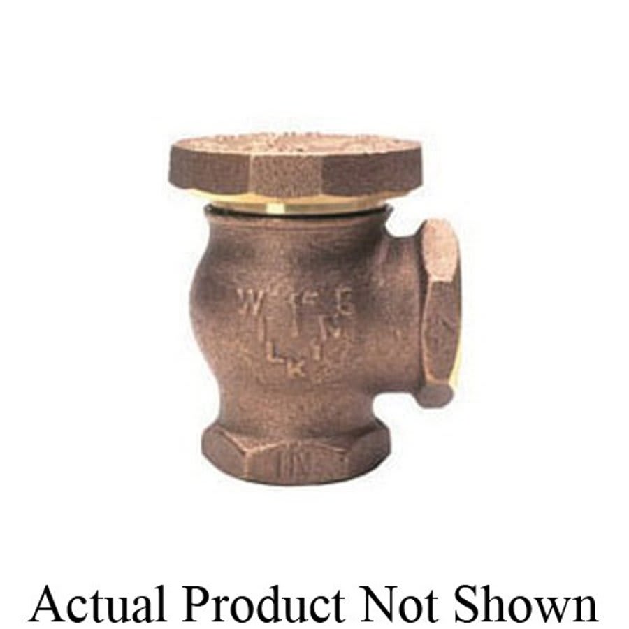 Vacuum Breaker, 1/2 in, FNPT, Brass