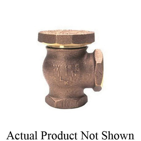 Vacuum Breaker, 1/2 in, FNPT, Brass