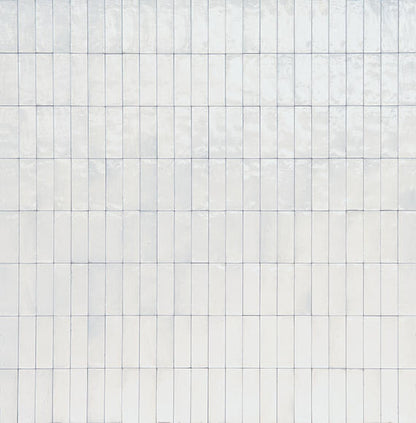 Rice Bianco Rectangle 2X6 Glossy