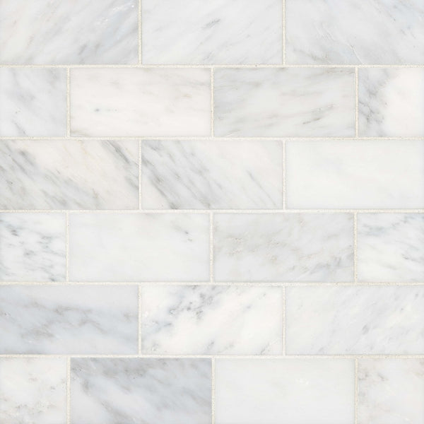 Ferrara Bianco 3x6 Field Tile Honed