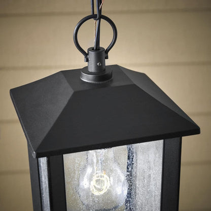 Ashton 1-Light Black Outdoor Pendant Light with Clear Seeded Glass