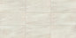 Advantage Washed White Brick 2X4 Matte