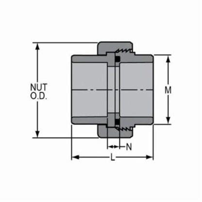 Union, 3/4 in, Socket, SCH 80/XH, CPVC