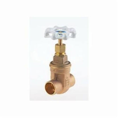 Ultra Pure™ Non-Rising Stem Gate Valve, 1 in, C, Bronze