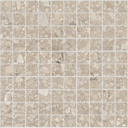 PERENNE PECAN MT MO 1X1/12X12