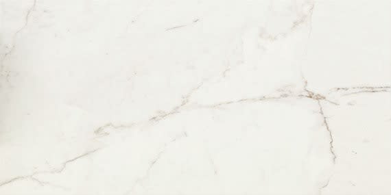 Classentino Marble Palazzo White Rectangle 24X48 Polished