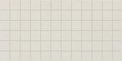 Theoretical Evolved Wishful White Rectangle 12X24 Textured