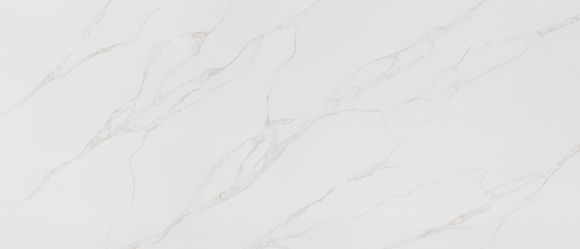 Calacatta Rivessa grey quartz by MSI, light grey background with gentle golden veins