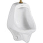 Wall Hung FloWise Washout Top Spud Urinal from the Allbrook Collection