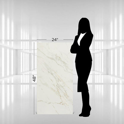Panoramic Duet Diamond Mine Square 48X48 Matte