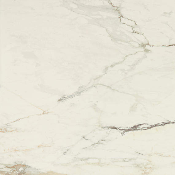 Panoramic Duet Calacatta Topaz Rectangle 12X24 Polished