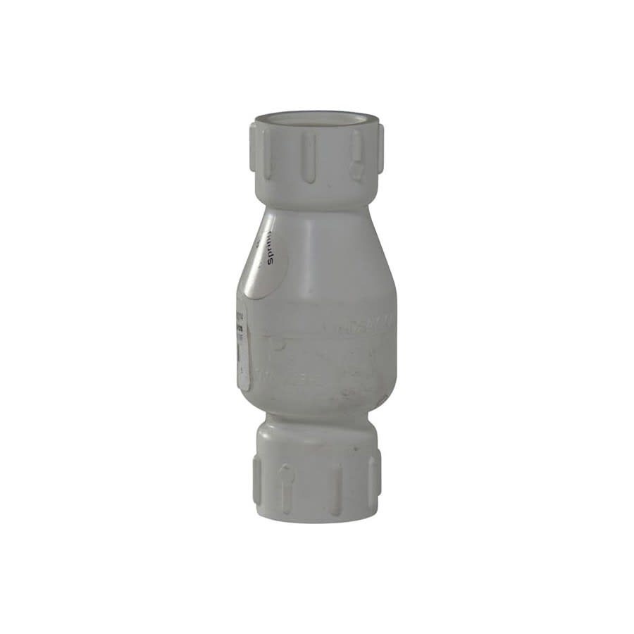 Spring Check Valve, 3/4 in, FNPT, PVC