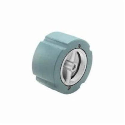 Silent Check Valve, 6 in, Wafer, Cast Iron