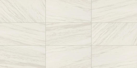 Perpetuo Timeless White Rectangle, Geometric 12X24 Satin