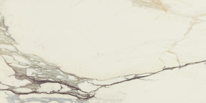 Panoramic Duet Calacatta Topaz Rectangle 12X24 Polished
