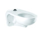 SloanTec Toilet Bowl, Wall Mount, ADA, Elongated, Flushometer, White