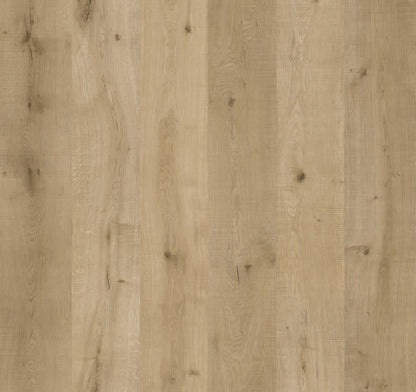 Coastal Ivory