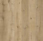 Coastal Ivory