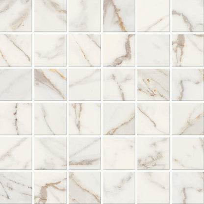 Marble Obsession Calacatta Gold Square 24X24 Polished