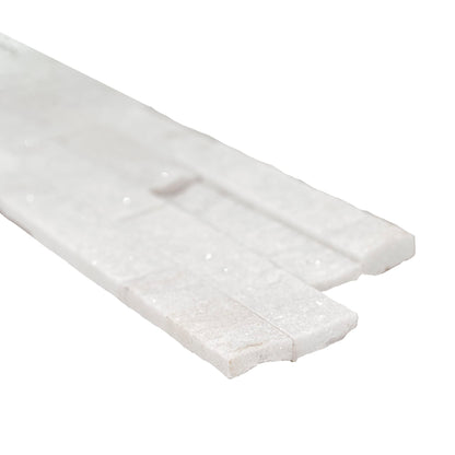 Arctic White