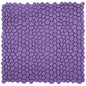 REVIFY VIOLET MT DOT/MO