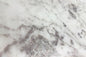 Oyster White