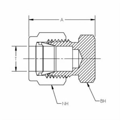Cap, 3/4 in, Comp, 316/316L Stainless Steel