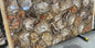 Petrified Wood