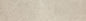 Dignitary Notable Beige Rectangle 12X24 Polished