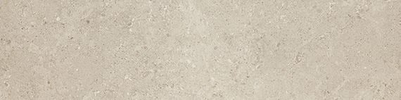 Dignitary Notable Beige Rectangle 24X48 Matte