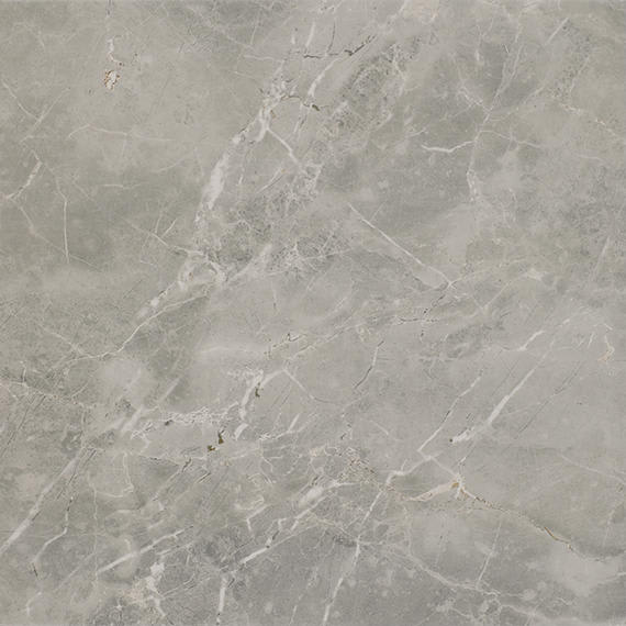 Platinum Dove Square 12X12 Matte