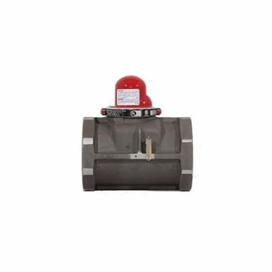 Horizontal Earthquake Valve, 4 in, FNPT