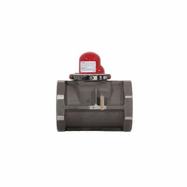 Horizontal Earthquake Valve, 4 in, FNPT