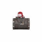 Horizontal Earthquake Valve, 4 in, FNPT