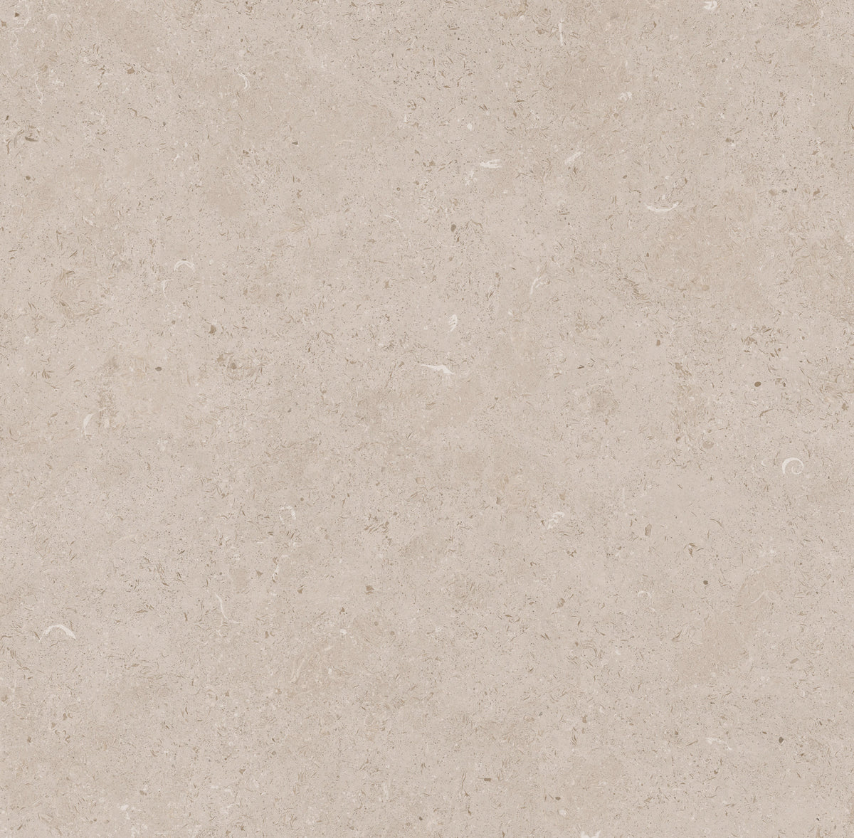 LIMESTONE TAUPE 36X36