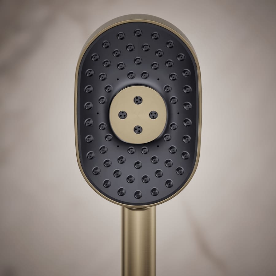 Statement 2.5 GPM Multi Function Hand Shower with MasterClean Sprayface