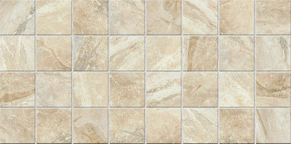 Danya Cove Rectangle 12X24 Matte