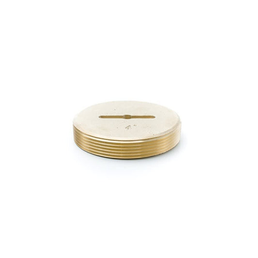 Countersunk Tapped Cleanout Plug, 4 in, 1/4-20, Brass