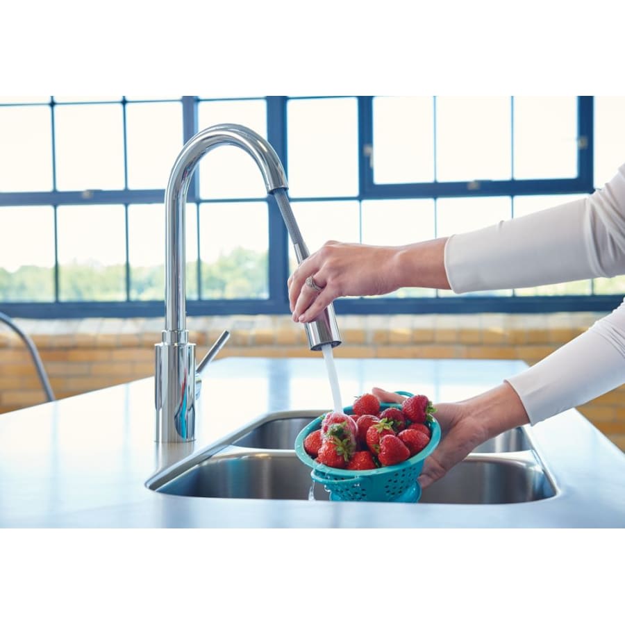 Genta LX Pull-Down Spray Kitchen Faucet with PowerClean Technology