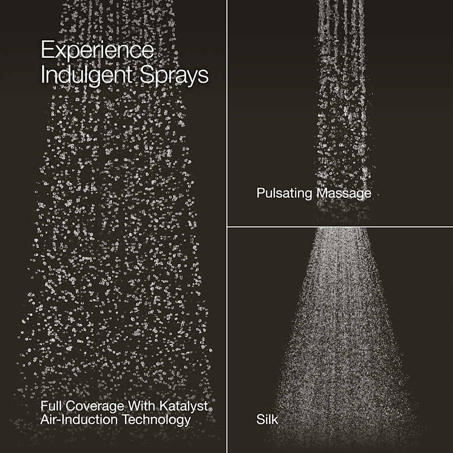 Forte 2.5 GPM Multi Function Shower Head